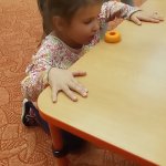 phoca_thumb_m_zajci a vtr 38 Fotogalerie